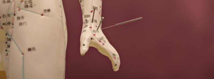 De 12 meridianen en hun fysieke en psychische functies.